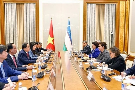 Tiếp tục làm sâu sắc hợp tác Việt Nam - Uzbekistan toàn diện trên các lĩnh vực 