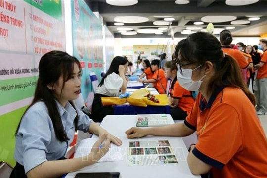 10,4% thanh niên không việc làm, không được đào tạo