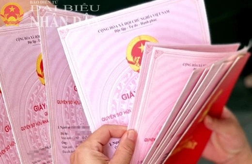 Chuyển 245 hồ sơ mua bán nhà, đất nghi trốn thuế tại TP. Cần Thơ sang cơ quan công an