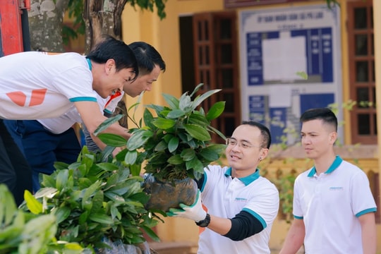 ABBANK gây quỹ thành công 100.000 cây quế tặng bà con tỉnh Yên Bái 