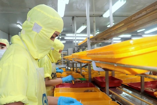 Khánh Hòa giải quyết việc làm cho hàng chục nghìn lao động nhờ thu hút đầu tư