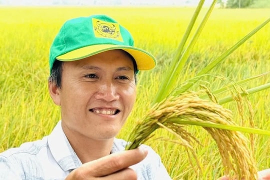 Canh tác lúa giảm phát thải mang lại nhiều hiệu quả tích cực về kinh tế lẫn môi trường