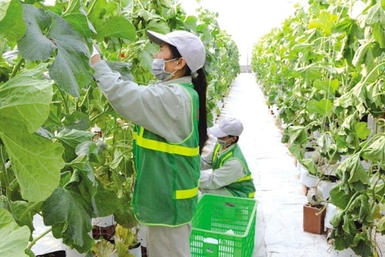 Biện pháp khuyến nông hiệu quả