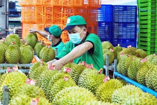 Xuất khẩu rau quả khó đạt mục tiêu