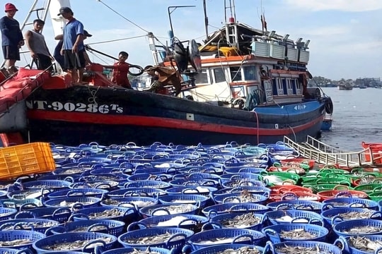 Cơ hội trong thách thức thương mại