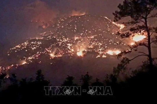 Phó Thủ tướng Trần Hồng Hà chỉ đạo tập trung khắc phục nhanh hậu quả do cháy rừng tại Quảng Ninh