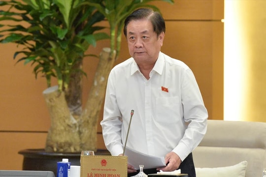 Xem xét việc cho phép cá nhân, tổ chức đầu tư thành lập cơ sở bức xạ