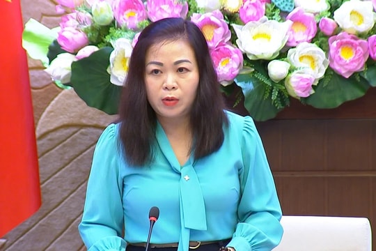 Cho ý kiến dự thảo Nghị quyết thí điểm một số cơ chế, chính sách đặc thù phát triển thành phố Hải Phòng