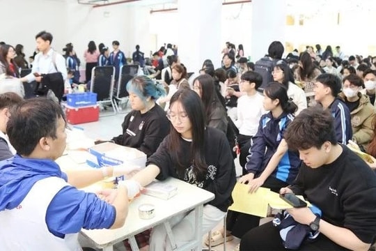 Nhận thức đúng, hành động đủ