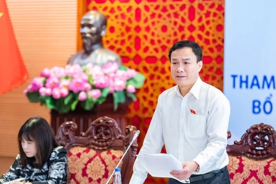 Tham vấn chuyên gia hoàn thiện dự thảo Luật sửa đổi, bổ sung một số điều của Luật Quảng cáo