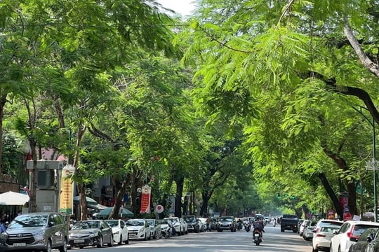 Dự báo thời tiết ngày 15.4: Bắc bộ tăng nhiệt, Nam bộ có mưa dông về đêm