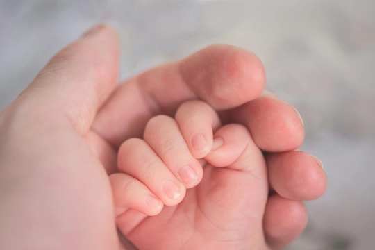 Bất kỳ ai cứ trú ở Italy sẽ được thưởng tiền khi sinh con