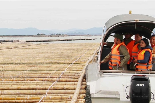 Nghiên cứu các mô hình nuôi trồng thủy sản thích ứng với biến đổi khí hậu