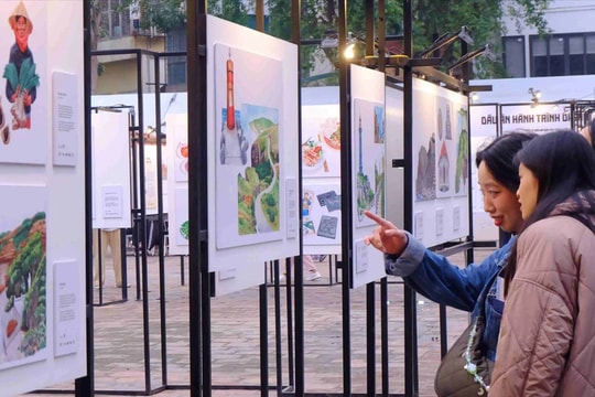 Du ngoạn Việt Nam qua sắc màu