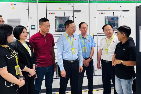 Sớm có chế tài, đáp ứng yêu cầu thực tế