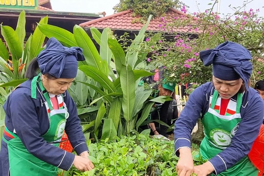 Thái Nguyên sẵn sàng cho Tuần Văn hóa, thể thao, du lịch và khai mạc Mùa du lịch 2025