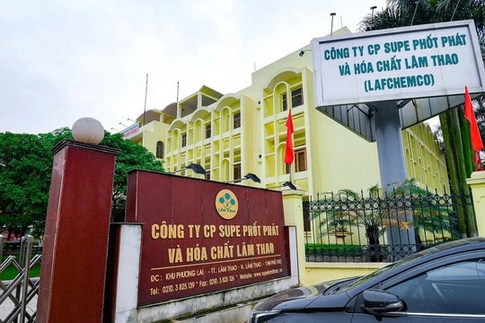 Supe Phốt phát và Hóa chất Lâm Thao (LAS): Tình trạng thiếu quặng Apatit làm tăng chi phí, gây áp lực hoạt động sản xuất