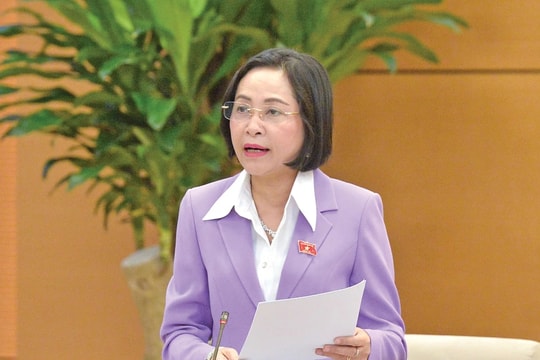 Huy động nguồn lực xã hội đầu tư cơ sở vật chất cho giáo dục mầm non