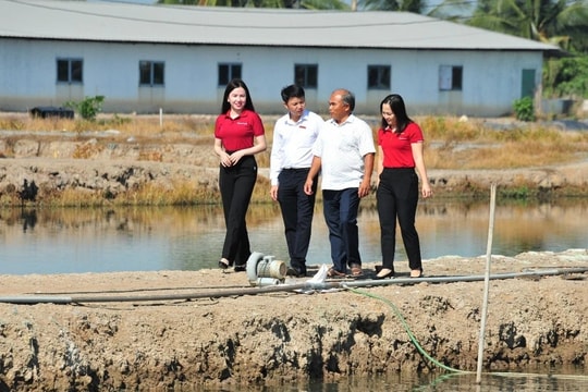 Agribank đẩy mạnh tín dụng ưu đãi nông, lâm, thủy sản