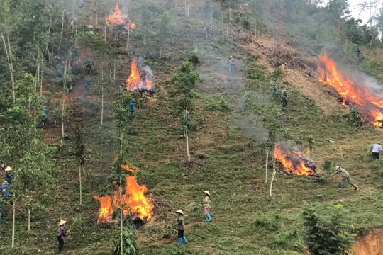 Lào Cai: Tăng cường công tác bảo vệ và phòng cháy, chữa cháy rừng