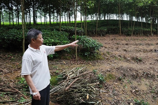 Người dân đồng thuận nhường đất