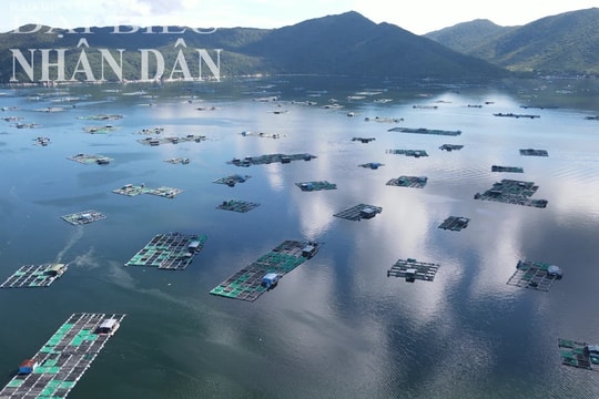Khánh Hòa tăng cường quản lý hoạt động nuôi trồng thủy sản