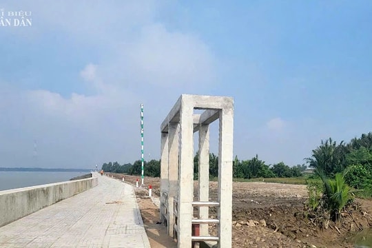TP. Hồ Chí Minh: Thi công tuyến đê vận chuyển muối tại Cần Giờ, 80 điểm tim tuyến bị lệch 