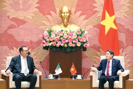 Phó Chủ tịch Quốc hội Nguyễn Đức Hải tiếp Đoàn nghị sỹ hữu nghị Algeria - Việt Nam