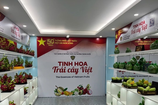 Truy vết nguồn gốc trái cây thông qua quét mã QR code