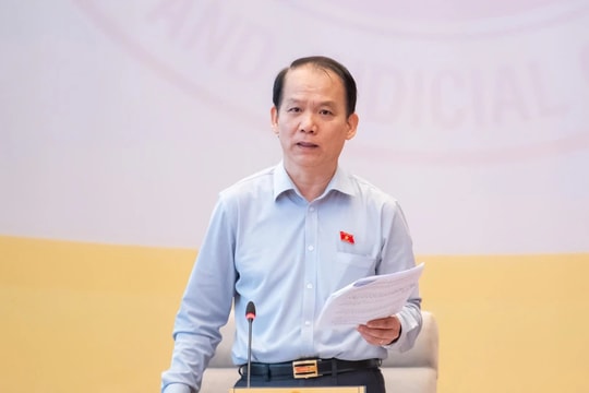 Thẩm tra dự án Luật Tổ chức cơ quan điều tra hình sự và dự án Luật sửa đổi, bổ sung một số điều của Bộ luật Tố tụng hình sự