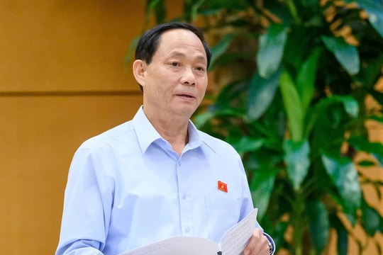 Rà soát tài sản công để có giải pháp sử dụng có hiệu quả hơn