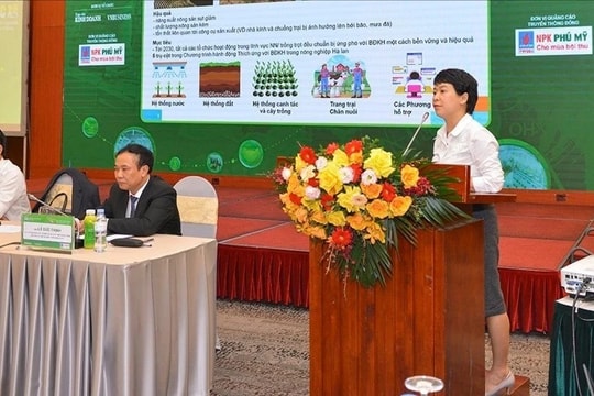 Hợp tác xã điện tử: Giải pháp “chuyển đổi mềm” đưa hộ cá thể vào nền kinh tế số