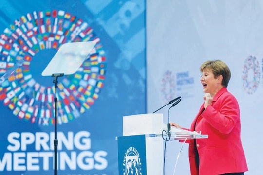 "Không khí mùa Đông" bao trùm cuộc họp mùa Xuân của WB và IMF