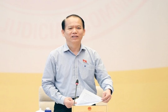 Thẩm tra dự án Luật Tổ chức chính quyền địa phương (sửa đổi) và dự án Luật Cán bộ, công chức (sửa đổi)