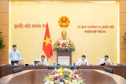 Miễn, giảm tiền thuê đất cho dự án sản xuất chip bán dẫn, đầu tư nông nghiệp