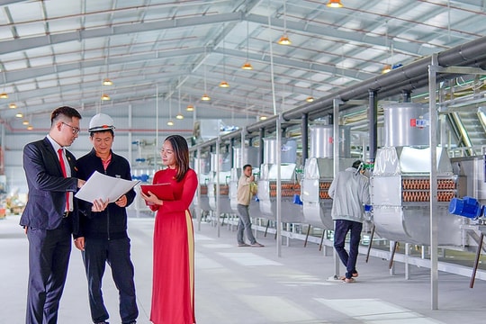 Agribank thúc đẩy kinh tế tư nhân phát triển 