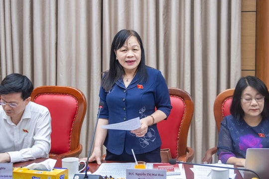 Quy mô đào tạo giáo dục đại học nên tính cả thạc sĩ, tiến sĩ