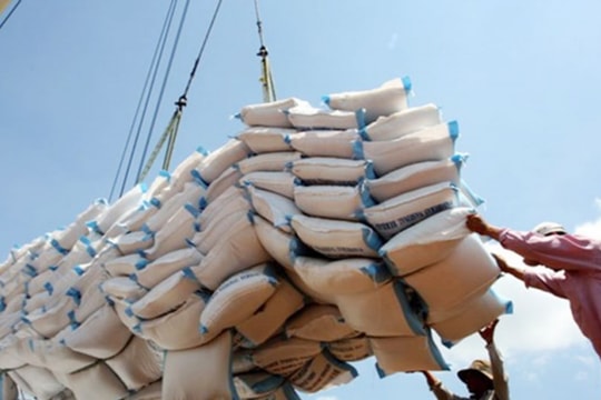 TP. Hồ Chí Minh có nhiều thương nhân xuất khẩu gạo nhất nước