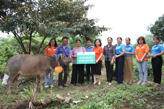 Núi Pháo trao tặng con giống cho phụ nữ dân tộc thiểu số thoát nghèo
