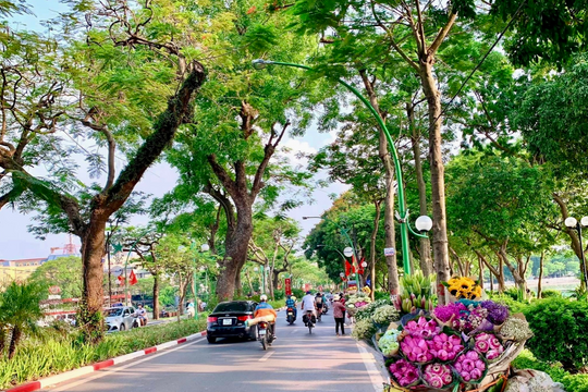 Dự báo thời tiết ngày 7/5: Miền Bắc nắng nóng cục bộ, Nam Bộ mưa dông rải rác