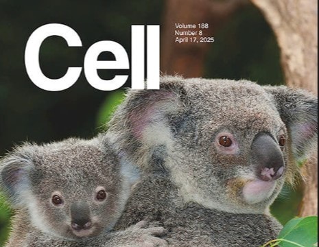 Khoa học Việt Nam ghi dấu ấn trên tạp chí Cell với nghiên cứu về loài Sao la – “Kỳ lân châu Á”