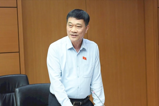 Quy định rõ hơn các chính sách đào tạo, thu hút nguồn nhân lực