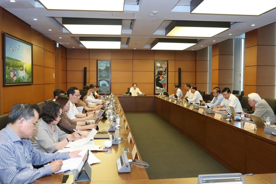 Cần có khung tiêu chí chung để xác định “người có tài năng”