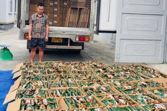 Phát hiện hơn 5,3 tấn chân gà “bẩn” sắp tuồn ra thị