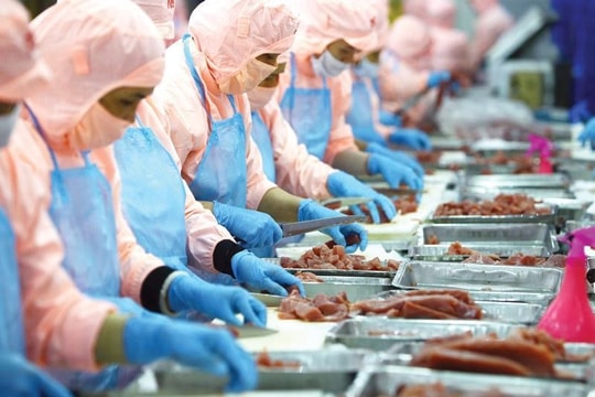 Doanh nghiệp thủy sản “tăng tốc” trước khi chính sách thuế quan có hiệu lực