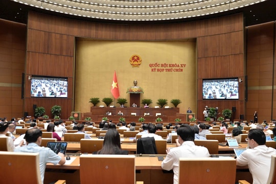 Chỉ quy định khái quát về việc phân định các đơn vị hành chính