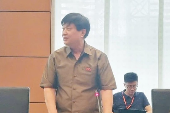 Cần thiết lập cơ quan quản lý độc lập về an toàn hạt nhân