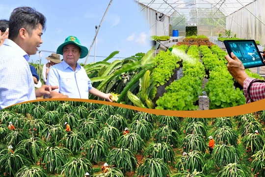 Kiến tạo không gian phát triển mới từ tư duy tích hợp đến bản sắc văn hóa địa phương