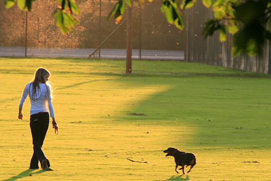Tăng cường sức khỏe tinh thần từ những việc làm không ngờ