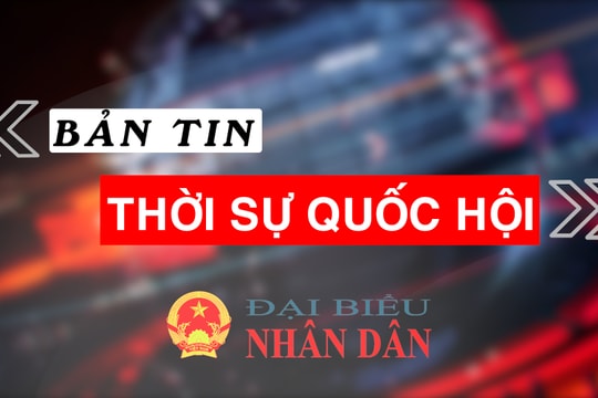 Bản tin Thời sự Quốc hội ngày 8/5/2025